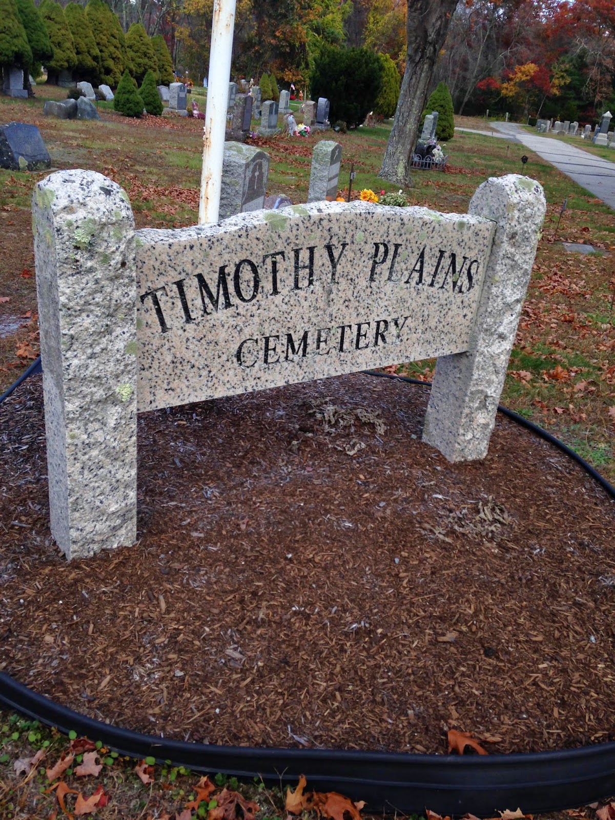 Human Beings, Immortal Through Memory Timothy Plains Cemetery